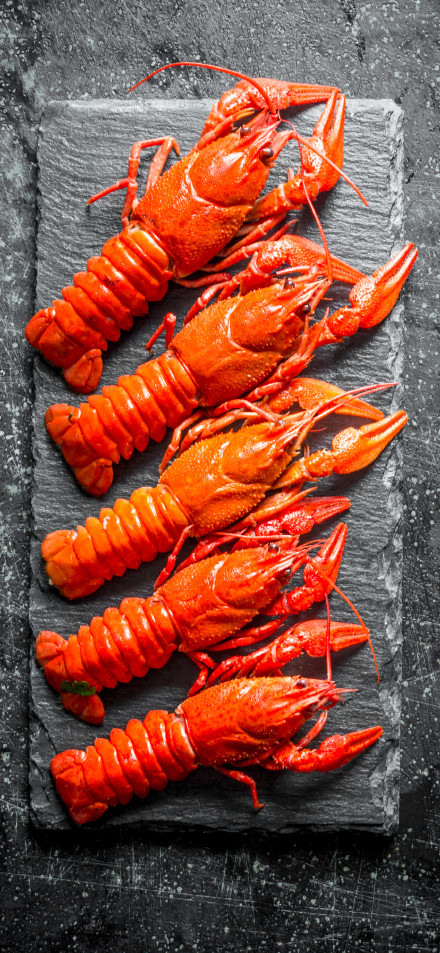 Tempting red crayfish plating phone wallpaper