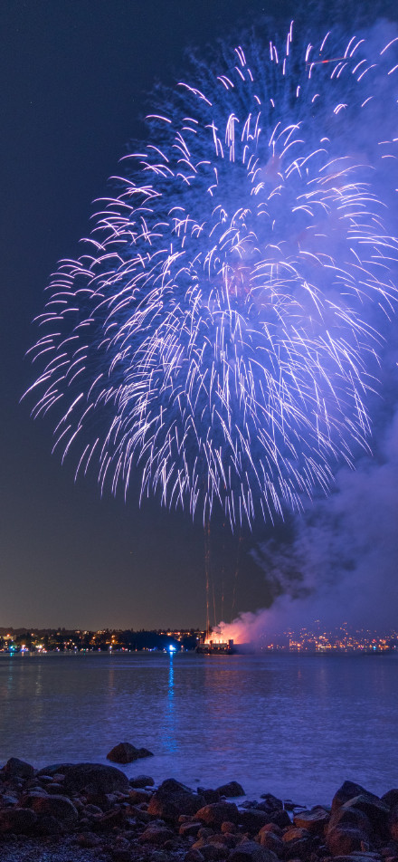 Colorful fireworks bursting in the night sky wallpaper