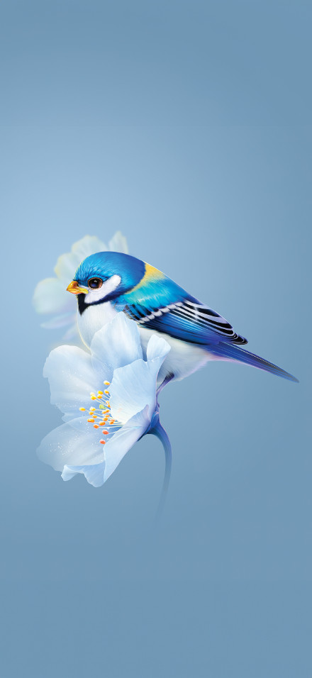Cute bird blue flower phone wallpaper