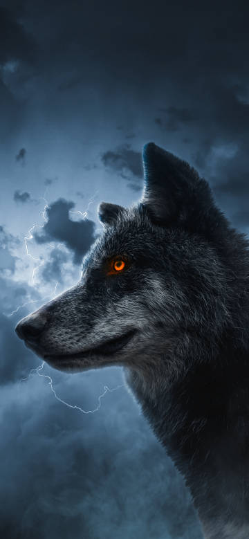 A wolf with orange eyes under dark clouds phone wallpaper