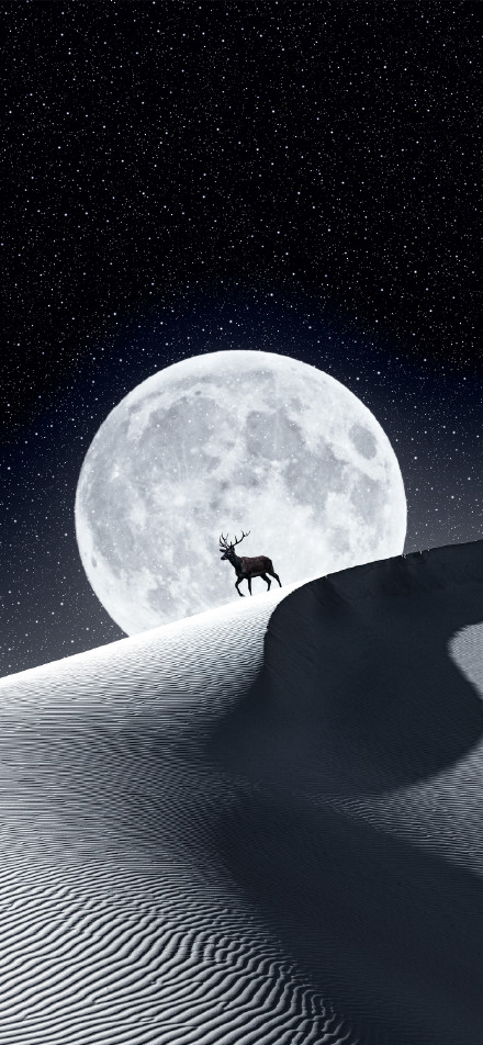 A deer walking alone in the desert under a full moonlit sky phone wallpaper