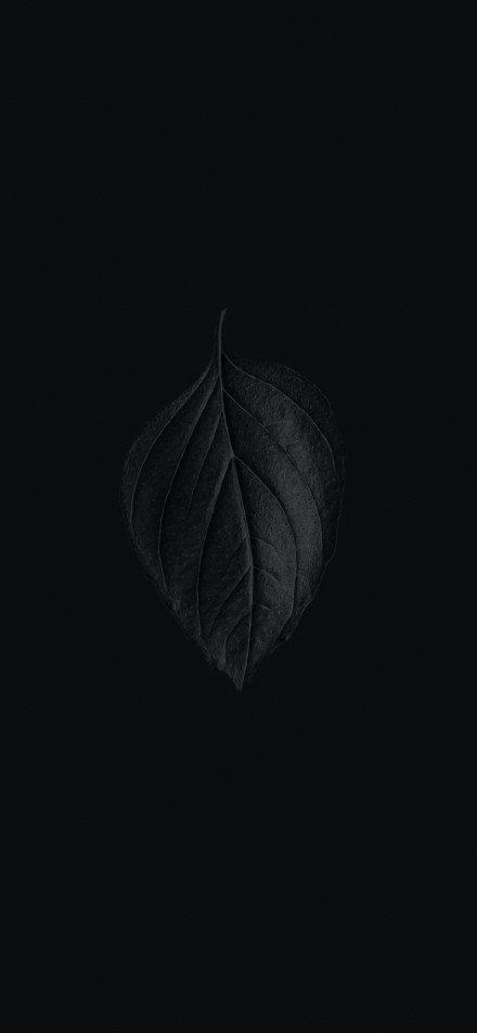 Black leaves on black background phone wallpaper