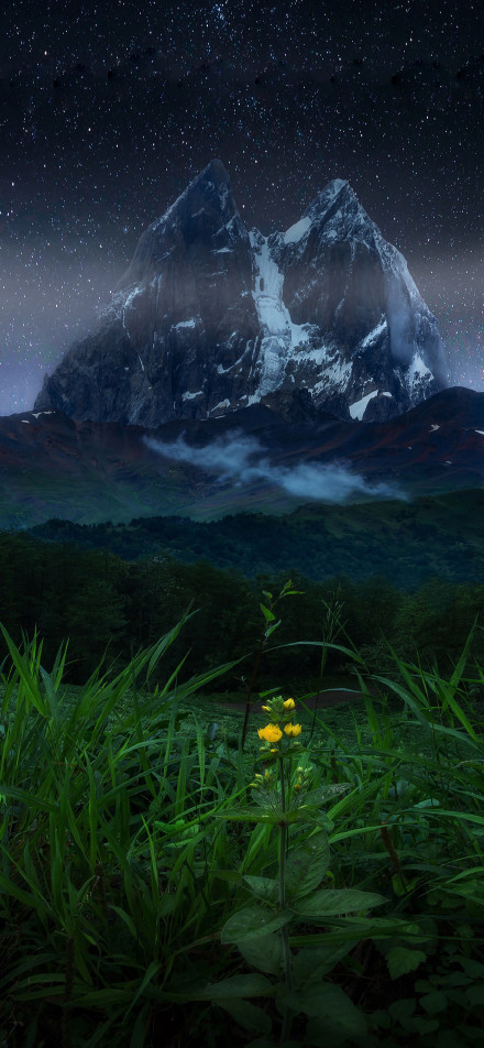 Snow-capped mountains and small flowers under the stars phone wallpaper