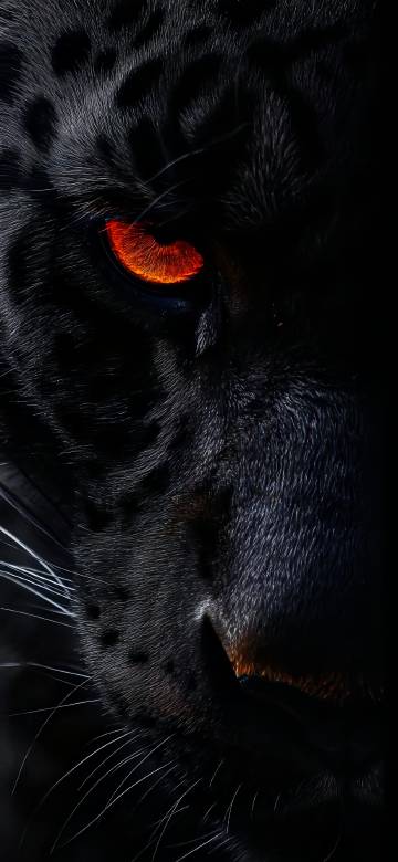 Black Panther With Glowing Orange Eye 4K Wallpaper