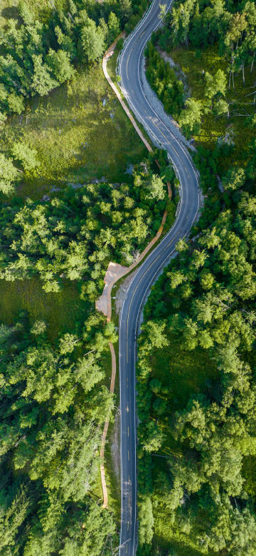 A beautiful road between meadows and forests phone wallpaper