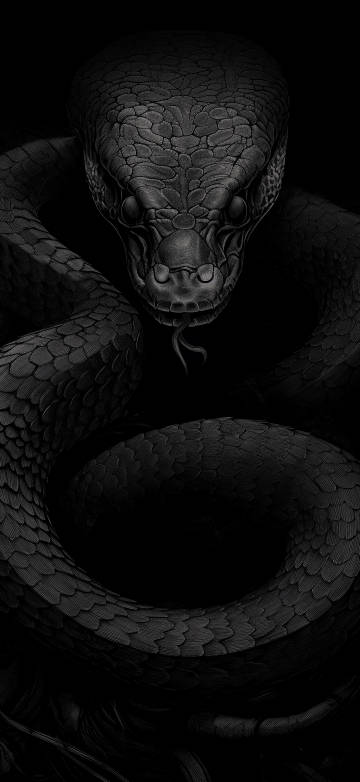 Mysterious Snake in the Dark 4K Phone Wallpaper