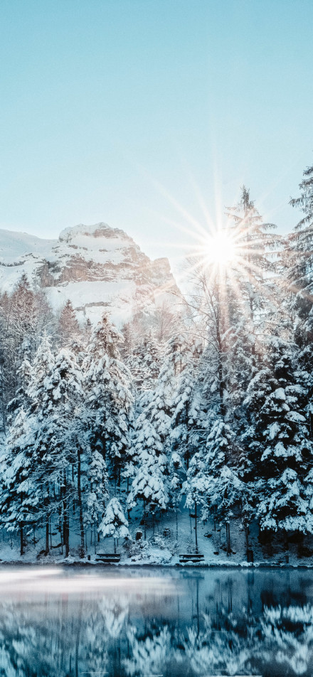 Forest, snow-capped mountains, morning sun, lake