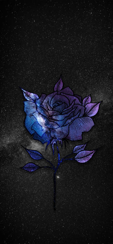 fantasy,rose,space