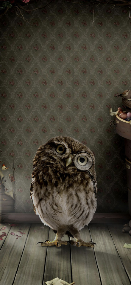 An owl with a magnifying glass phone wallpaper