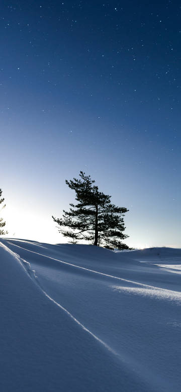 Minimalist Moonlight Snow Dune and Pine Tree 4K Phone Wallpaper