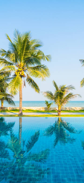 Seaside scenery phone wallpaper 4k, coconut trees, blue sea, blue sky