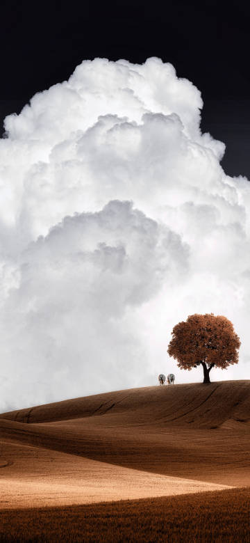 A Lone Tree and a Hill Under a Giant Cloud 4K Wallpaper A Lone Tree and a Hill Under a Giant Cloud 4K Wallpaper
