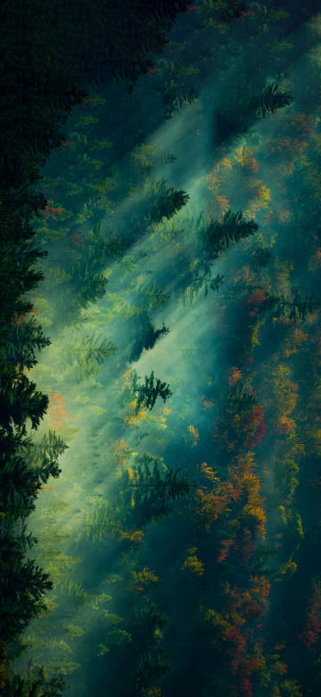 Latest Wallpaper 1