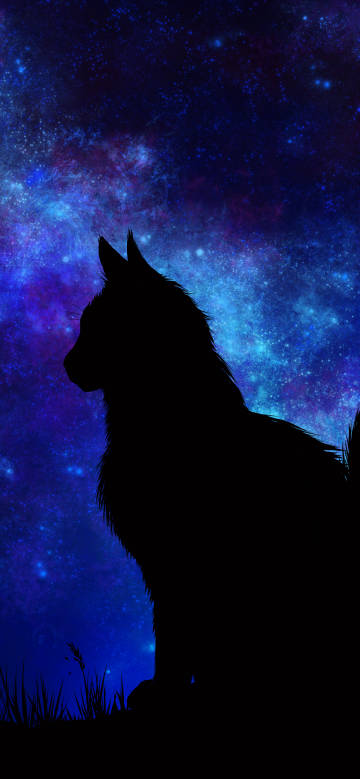 Wolf shadow under dark blue starry sky phone wallpaper