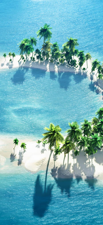 Tropical island beach with palm trees phone wallpaper