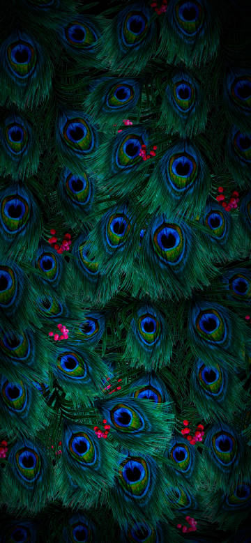 Dark green peacock feathers 4K phone wallpaper Dark green peacock feathers 4K phone wallpaper