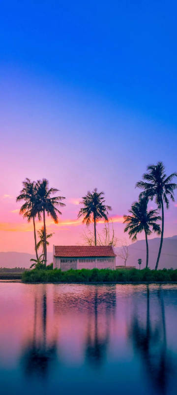 Sunset Landscape Wallpaper: Palm Trees, Pink-Purple Sunset, and Reflections