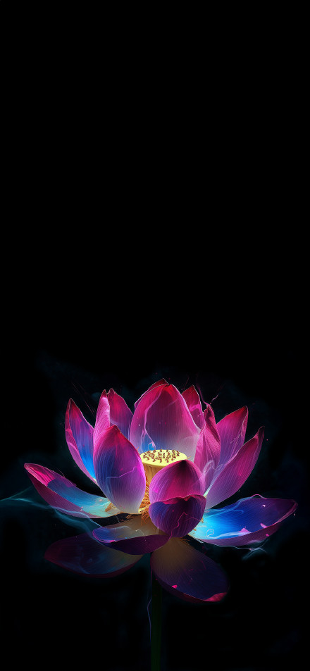 A Lotus Glowing Against a Black Background 4K Wallpaper
