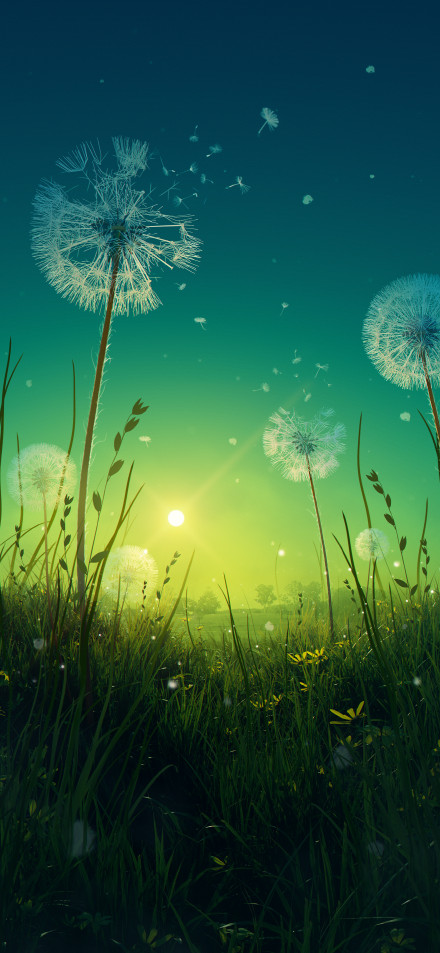 Dreamy Dandelion Field at Sunset 4K Wallpaper