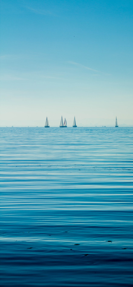 Sailboat on the tranquil sea phone wallpaper