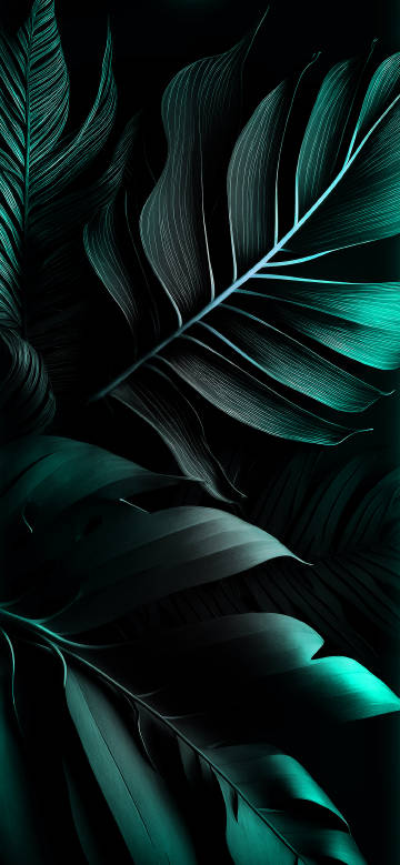 Latest Wallpaper 1