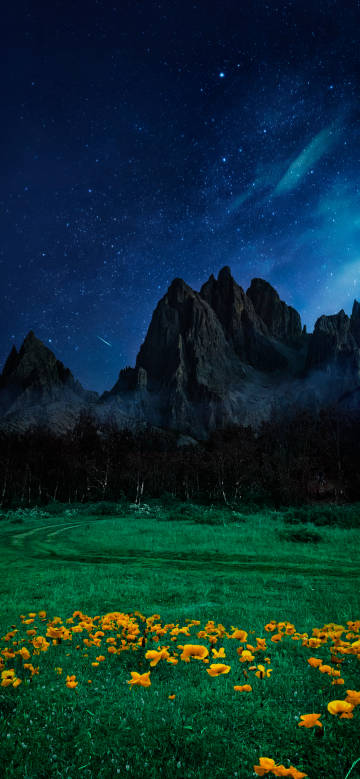 Dark-toned beautiful wallpaper: starry sky, mountains, and grass