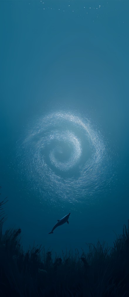 Dolphin Swimming Under A School Of Fish 4K Wallpaper