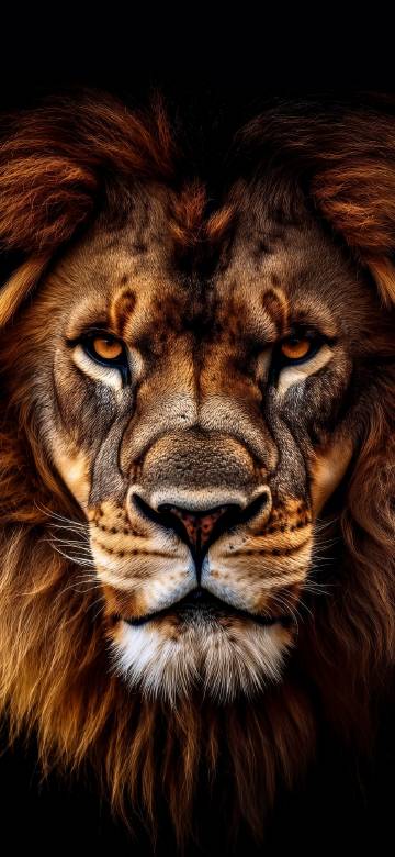 Close-up of a majestic lion phone wallpaper