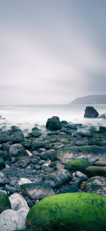 Moss-covered reefs in a seaside scene phone wallpaper