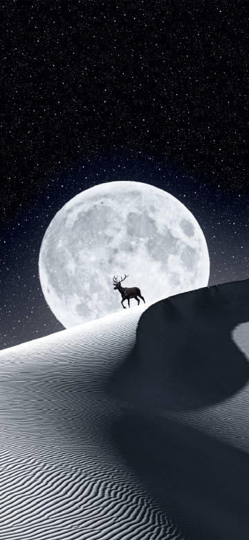 A deer walking alone in the desert under a full moonlit sky phone wallpaper