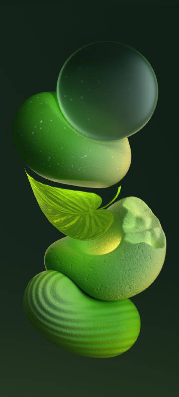Stones and Leaves Floating Against a Deep Green Background Stones and Leaves Floating Against a Deep Green Background
