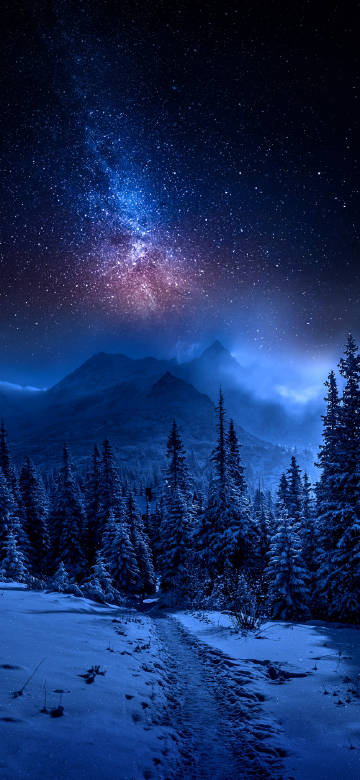 Mysterious and serene winter night view of mountains and forests
