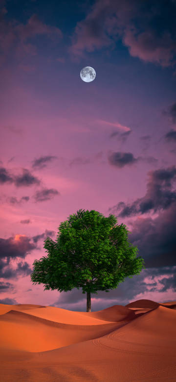 A green tree in the desert phone wallpaper