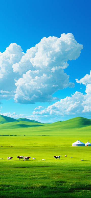 Green prairie under blue sky and white clouds phone wallpaper