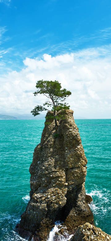 Lone Tree on Ocean Rock 4K Phone Wallpaper Lone Tree on Ocean Rock 4K Phone Wallpaper
