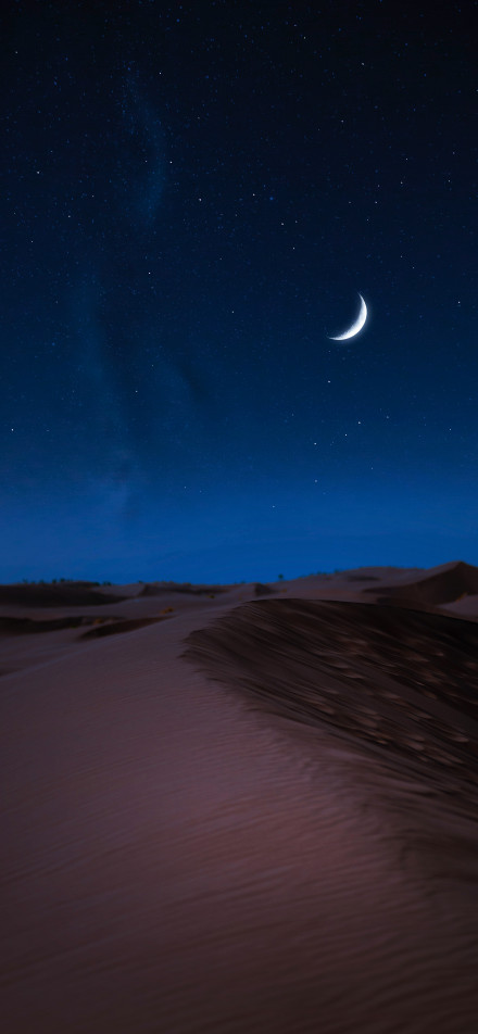 Desert under the blue night sky phone wallpaper