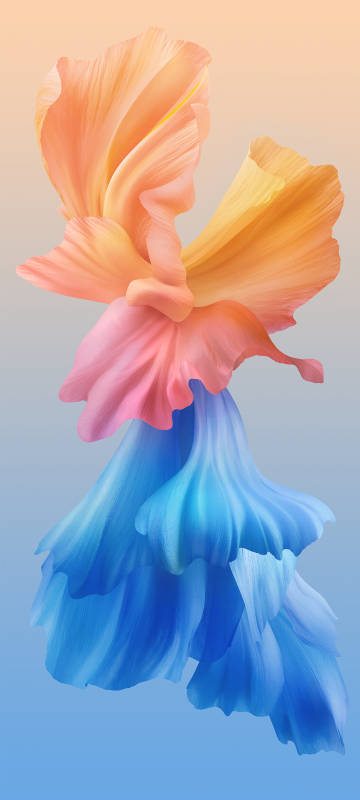 Colorful Abstract Petals Phone Wallpaper Colorful Abstract Petals Phone Wallpaper