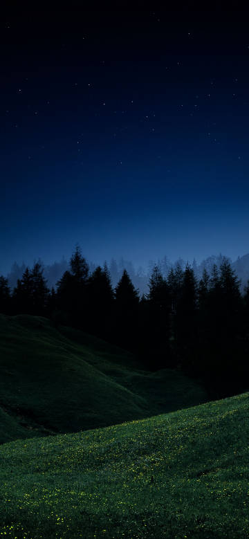 Green hillside under the night sky phone wallpaper