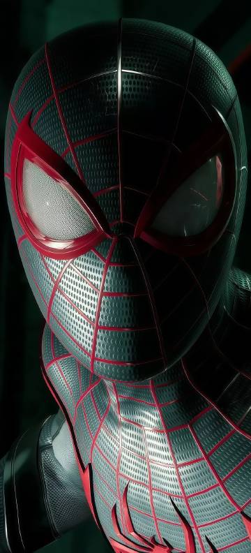 Superhero Spider-Man in black and red suit phone wallpaper