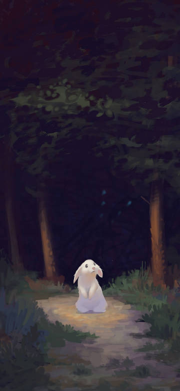 A cute white rabbit on the forest path illustration wallpaper