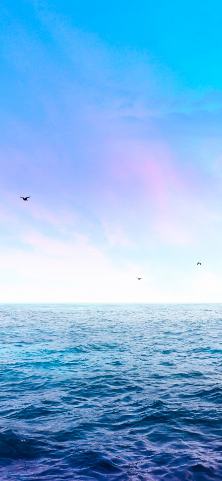 Tranquil ocean scenery under blue sky phone wallpaper