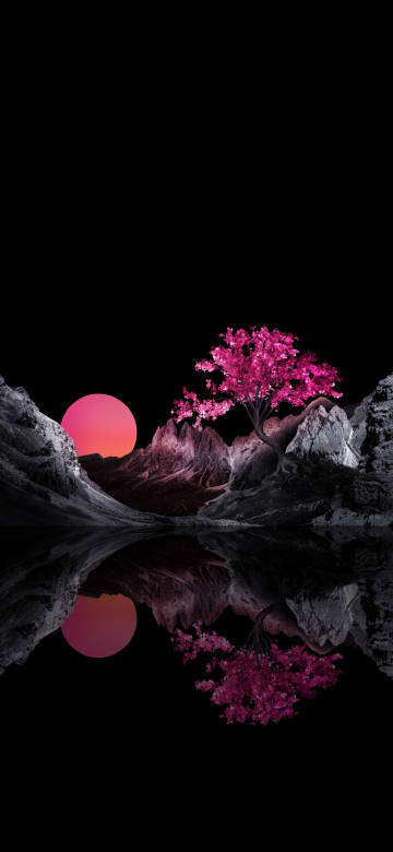 Pink Cherry Blossom Tree and Pink Moon Reflection 4K