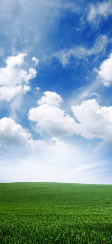 Blue sky, white clouds and green grass healing wallpaper