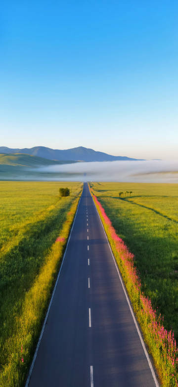 Tranquil grassland road scenery
