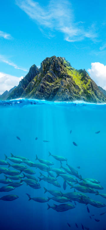Tropical island and underwater fish 4K Phone Wallpaper