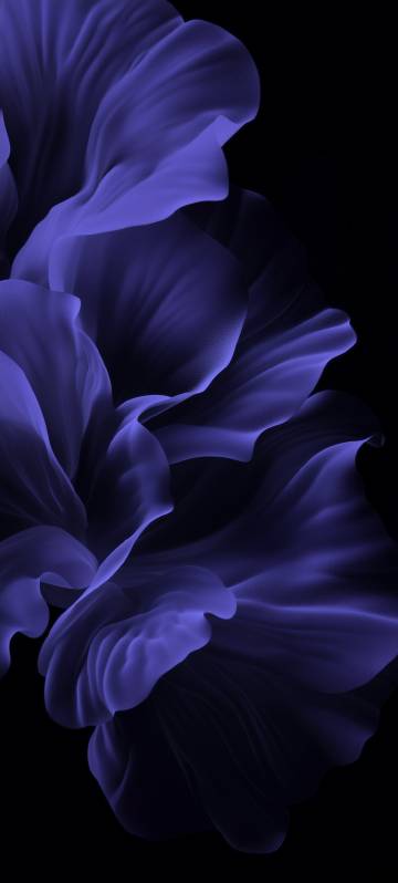 Official Xiaomi 13 Stock Purple Flower Petals Wallpaper Official Xiaomi 13 Stock Purple Flower Petals Wallpaper