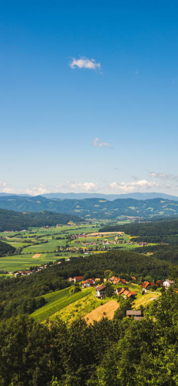 Rural natural scenery under blue sky and white clouds phone wallpaper
