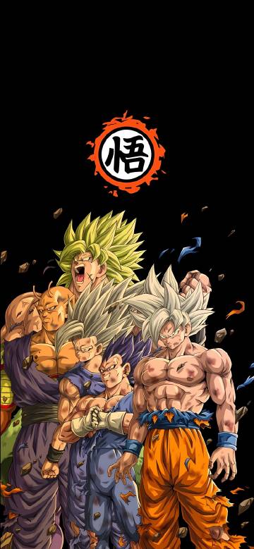Goku, Vegeta, Gohan, and Broly Battle Ready