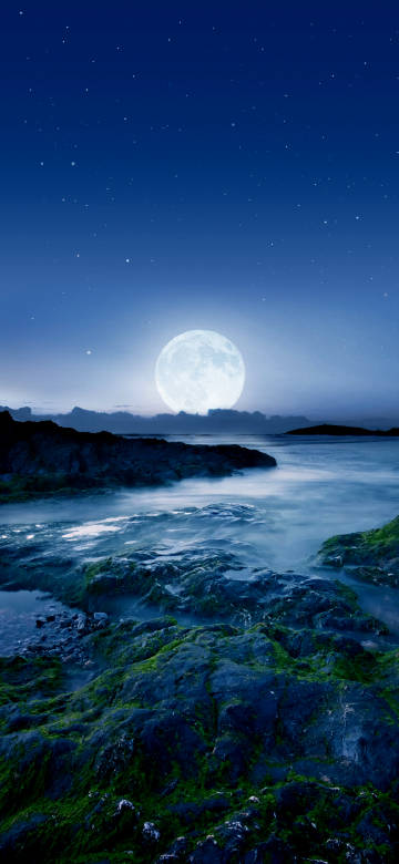 Peaceful night scene of the coast under moonlight