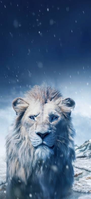 Male lion in ice and snow phone wallpaper